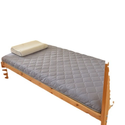 2024 Student Version Dormitory Washable Cotton Skin-friendly Thickened Antibacterial Mattress Soft Pad Double Bedding 