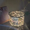 [Ectological pink tulip flower 20 material pack]