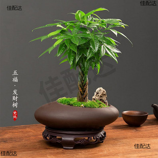 ؔԴLLlؔСԻܾGֲk҃ȾG}ˮlؔ