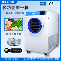 冻干机家用小型食品水果蔬菜中草药零食真空冷冻干燥机器商用智能