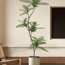 綠植藍花楹室內客廳裝飾花仿生假植物落地盆栽樹