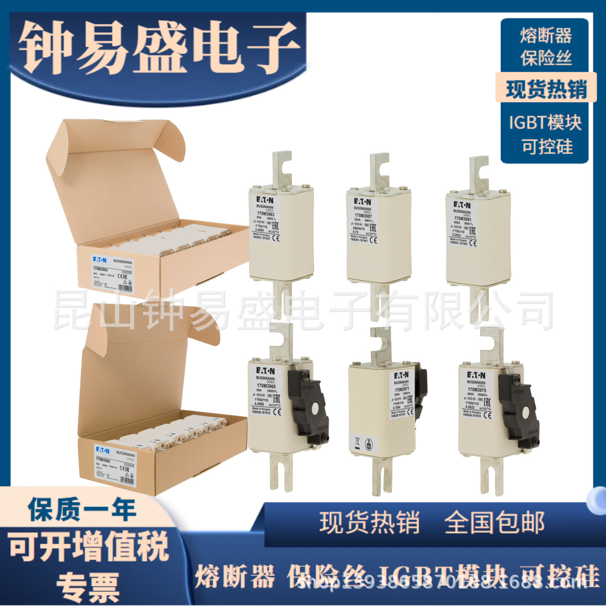 巴斯曼Bussmann熔断器1000V  160A  170M3970,170M3986