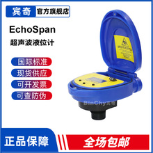 FLOWLINE EchoSpanҺλӋLU80 81 83 84͸Rx