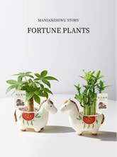 �R�ϰlؔ�¿�lؔ��С�����k���҃�����Gֲ����ؔ�R����ֶY���l