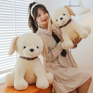 �¿�羳�ɐ���������ë�q���С��������ż��������Ů�����նY��