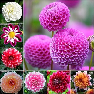 ����������ܾGֲ�����շN���عϻ��������N��