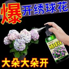 򻨷ʌ÷~ӰlSɿݸL҃ϡЙC