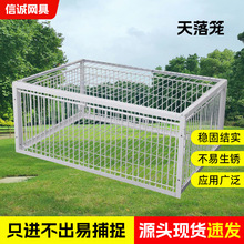 ����\���ӻ\�Ӻ�����Ԅ�������������j�Tײ�T����ֻ�M�����w��