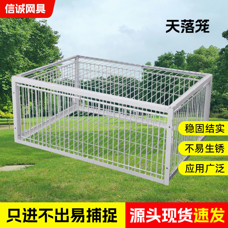 Thickened and Reinforced Automatic Pigeon Cage with a Swinging Door for Outdoor Use, Only Allows Entry and Not Exit