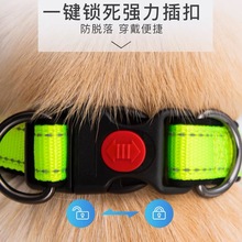 ����Ȧ����Ȯ�����ȦС��Ȯ���ղ�����Ó����̩�Ͻ�ë�����K���