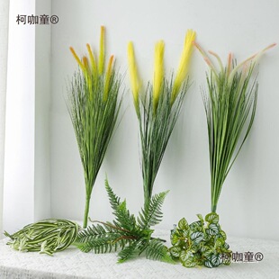 ֲ���~����廨�쾰����diy�����ğᎧ��֦�������������̫��