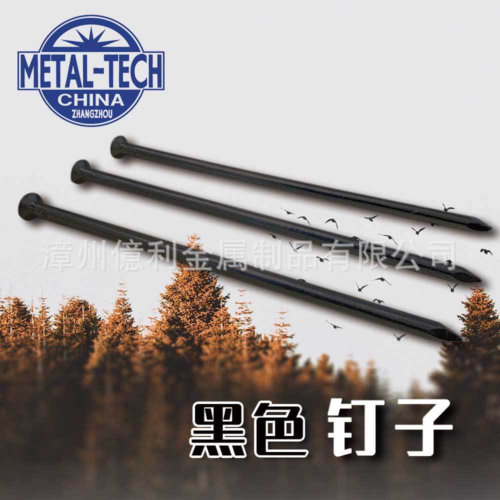 黑色大钉圆头钉高亮度黑色镀锌铁钉圆头地钉直钉铁钉圆头钉