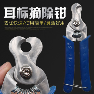 �iţ���ö���ж���Q ���P䓎�Ƥ�׼������Q �����Q ���Ƽ����˼�