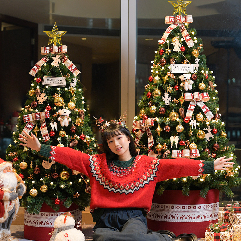 Amazon 2025 nuevo árbol de Navidad doméstico regalos de Navidad decoración encriptada paquete de simulación al por mayor