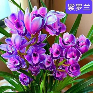 �ͺ�����B�ļ��_�������ͽ��m�҃���Gֲ�����m���o��������
