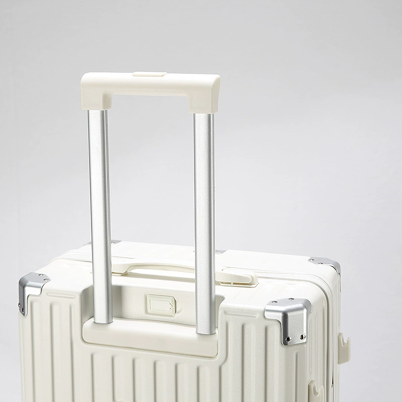 Suitcase, 20 inch, 24 inch