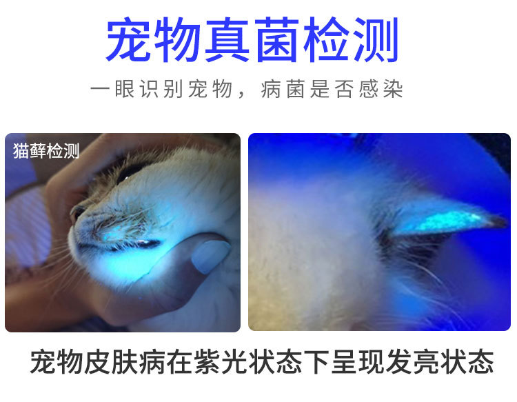 Uv Ultraviolet Flashlight Dual Light Purple Light Jade Anti-Counterfeiting Banknote Detection Cat Moss Fluorescent Agent Detection Light Scorpion Light