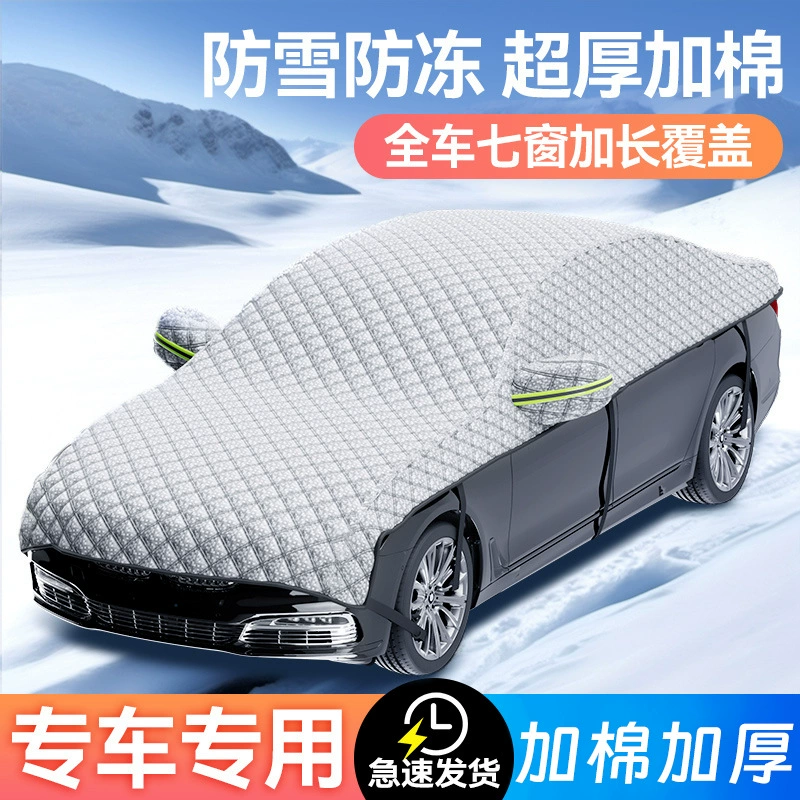 Ветер автомобиля защищен от листвы зимой