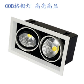 LED日光灯;射灯;筒灯