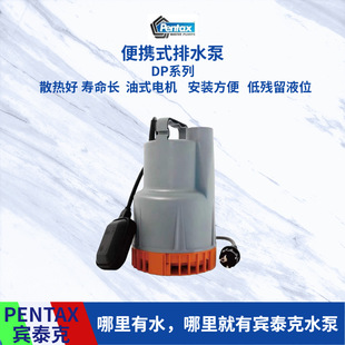 �����PENTAX �e̩�˝�ˮ��DP-100G �e������ ��Ȫˮ��