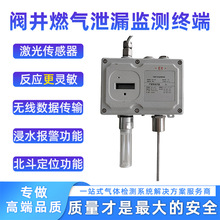 热销阀门井燃气泄漏监测终端 阀井激光燃气泄漏探测器 气体检测仪