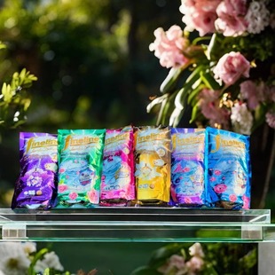 Thailand Fineline Concentrated Floral Fragrance Laundry Detergent with Pleasant Fragrance, Clean and Fragrant Care 2-in-1