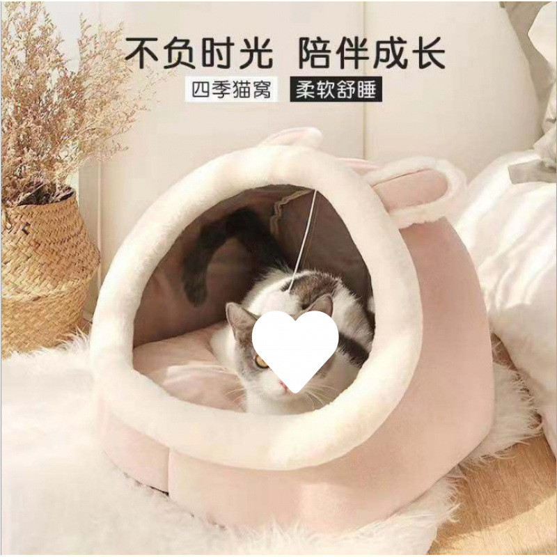 Nuevo gato de cuatro estaciones, gato de cuatro estaciones, gato de cuatro estaciones