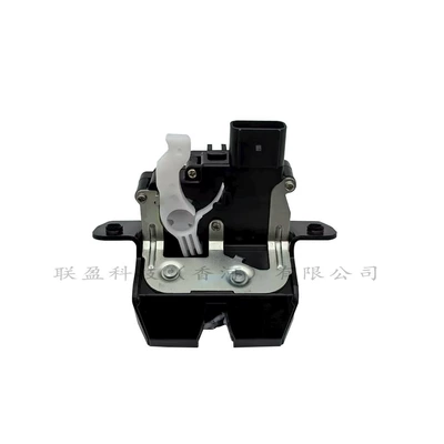 81800P2000 Is Suitable for Modern Tailgate Lock, Trunk Lock, Central Locking 81800-P2000 (Central locking)