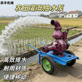 柴油喷灌泵自吸泵高压水泵大流量农用灌溉抽水机高扬程果园浇水