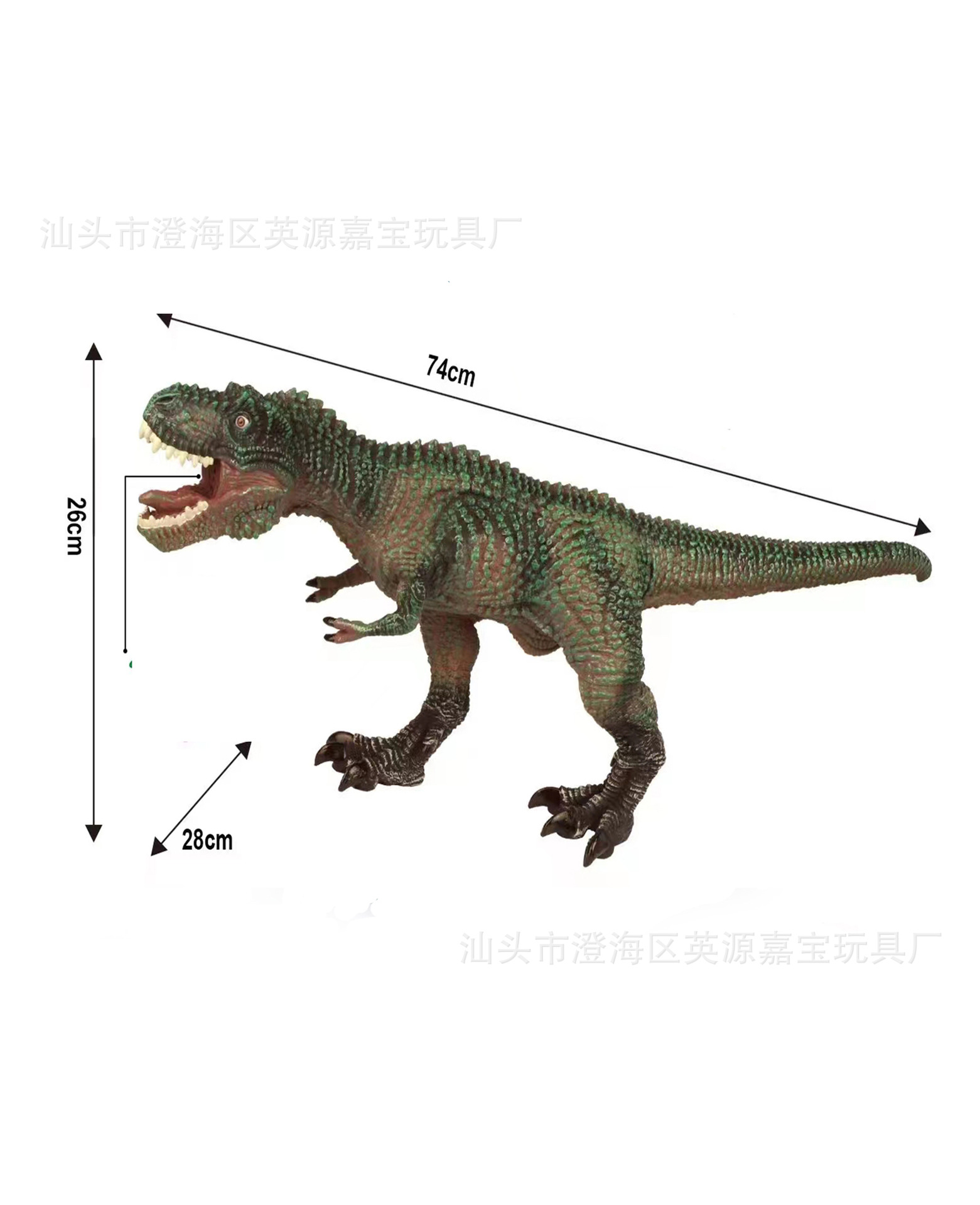 【80 시리즈】74cm 시뮬레이션 대형 티라노사우루스 렉스
