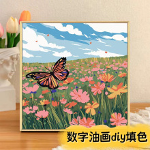 ��D���Ɣ����ͮ���ɫdiy����������A����L��õ�����L��ϩ�ͮ�