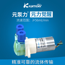 蠕动泵12v水泵无刷电机迷你电动恒流泵 卡默尔微型自吸泵小型小泵