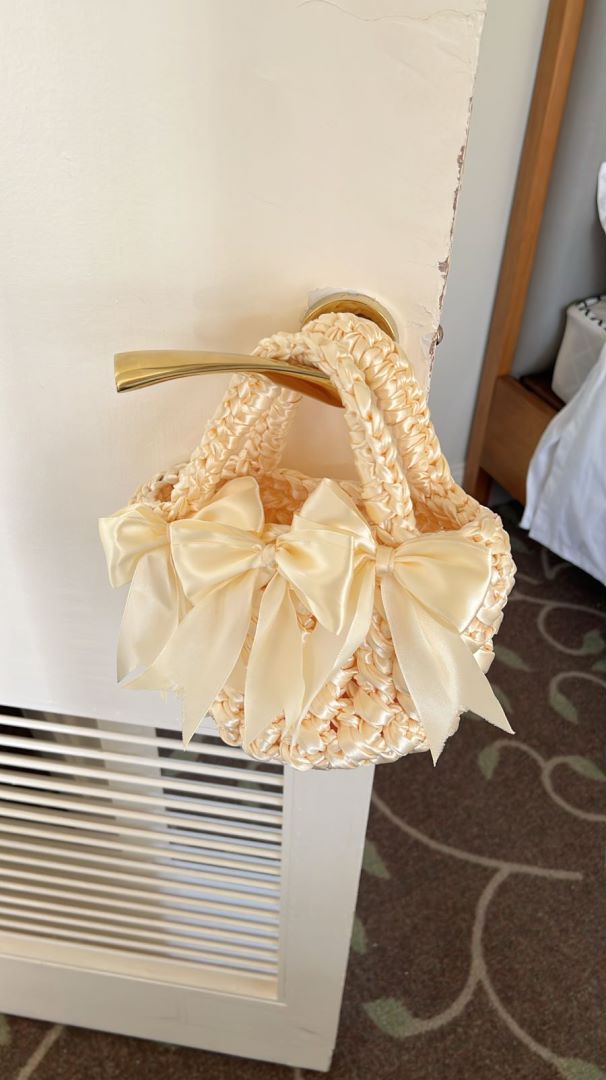 Women's Medium Velvet Bow Knot Elegant Open Handbag display picture 8