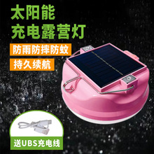 ҹledóʽݹܑݟo[̫ؔ