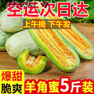 ɽ�|�����������r���]�^��Fժ����۴�������ϏS�Ҵ��l