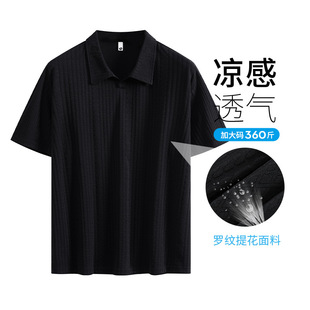 568��a���X�L�������Ipolo�������eͨ�ڶ���T���羳�W��һ�����l