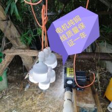 冲击式水力发电机220v家用电机线圈线小型水力发电机照明厂家