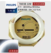 飞利浦环形灯管圆形灯管T8四针节能吸顶灯管T8粗管210㎜22W6500K