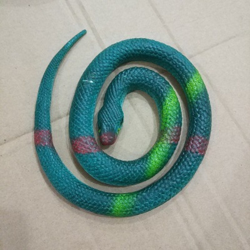 다크 그린 둥근 머리 뱀