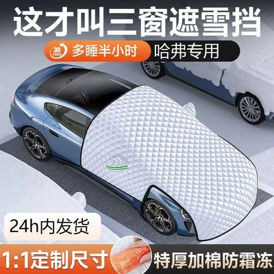 Snow Cover Winter: Qìchē Car snow shield