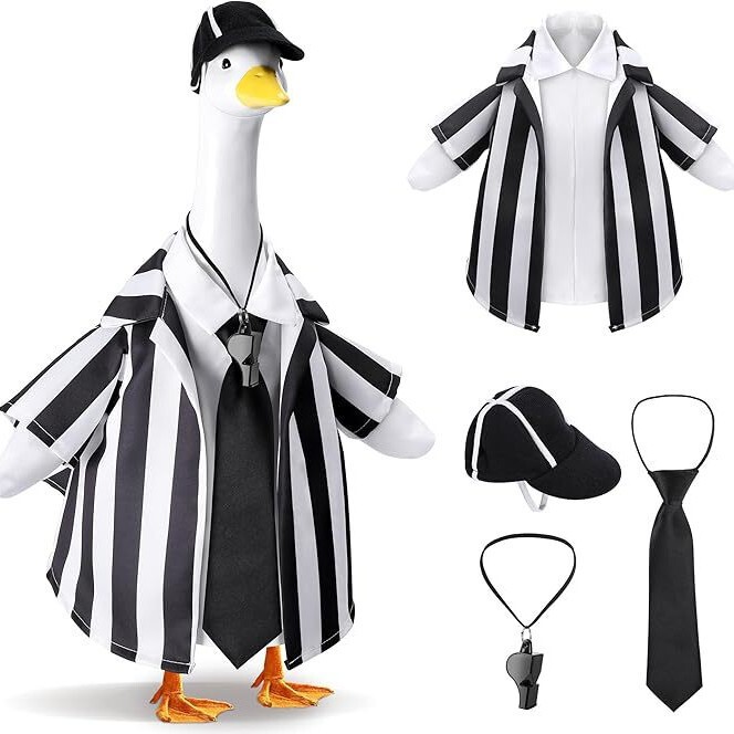 New Independence Day Porch Goose Clothes, Waterproof Goose Yellow Raincoat, American Flag Goose Clothes and Hat Set