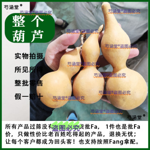 ���Jһ����δ������ș�ĺ��J�������J���J����J���|���J�Ϸ���Ƭ