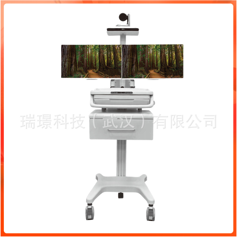 远程医疗会诊查房推车双屏电脑显示器摄像头支架台车