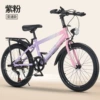 Bike shifter (brake handle), fuchsia bike spokes, headlights