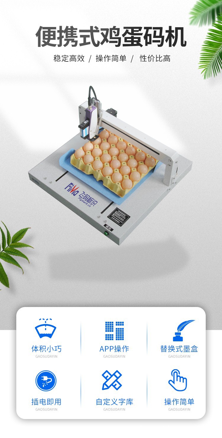 單頭雞蛋噴碼機(jī)詳情(1).jpg