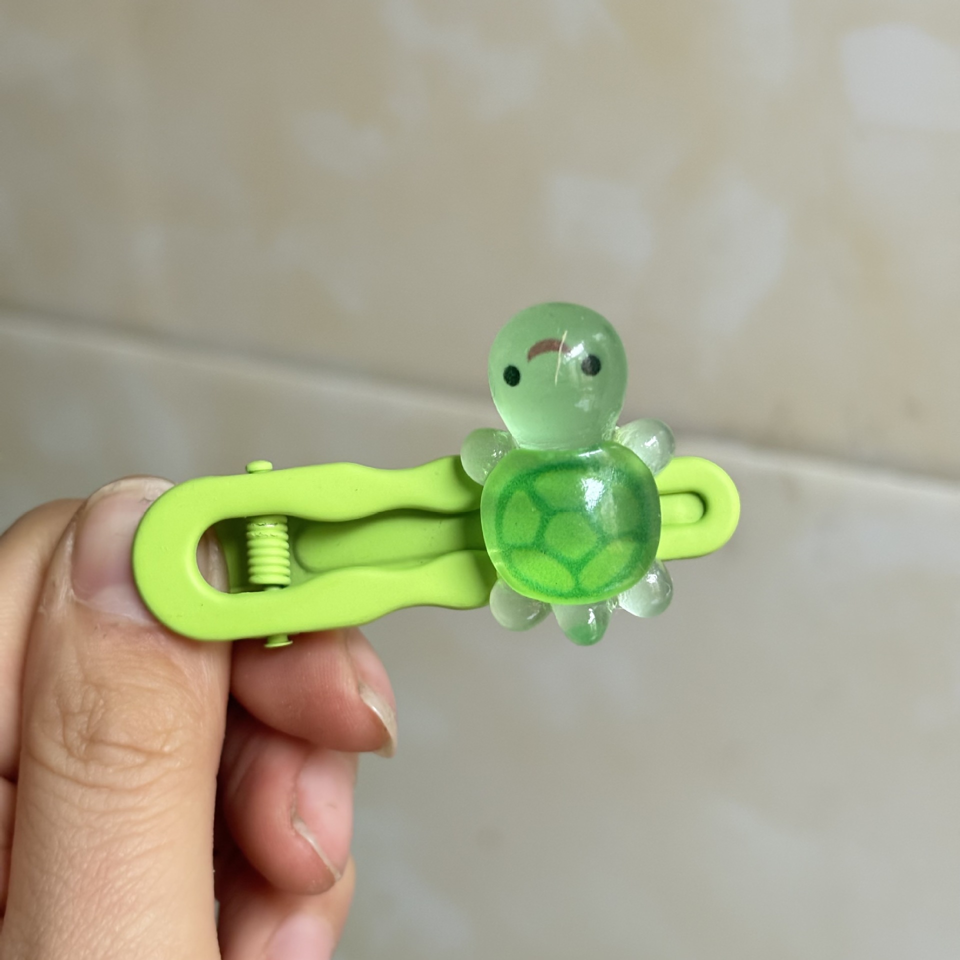 인터넷 연예인 꼬마 거북이 그린