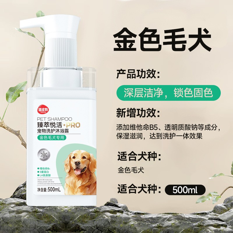 금색 개를 손해로 팔다