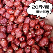 �����]��ȥ�˻җ�  20��/���u�ė� �o�˼t��