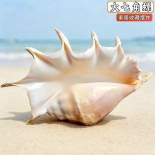 ��Ȼ���ݳ����߽��� ֩���� �ҾӔ[���ղ� �~��ˮ���쾰