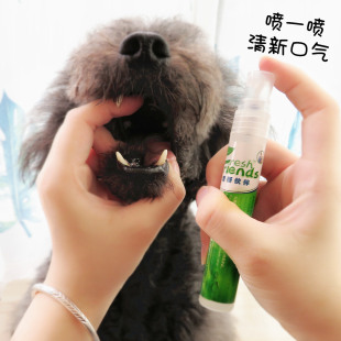 Fresh Partner Pet Oral Cleansing Spray Spray Teeth Cleaning Water Spray Puppy Mouthwash to Remove Bad Breath Pai Rui